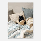 Cat Reading Print – Black Cat Wall Art, Cosy Bedroom Poster, Book Lover Cat Illustration, Cat in Bed Print, Reading Decor, Cat B